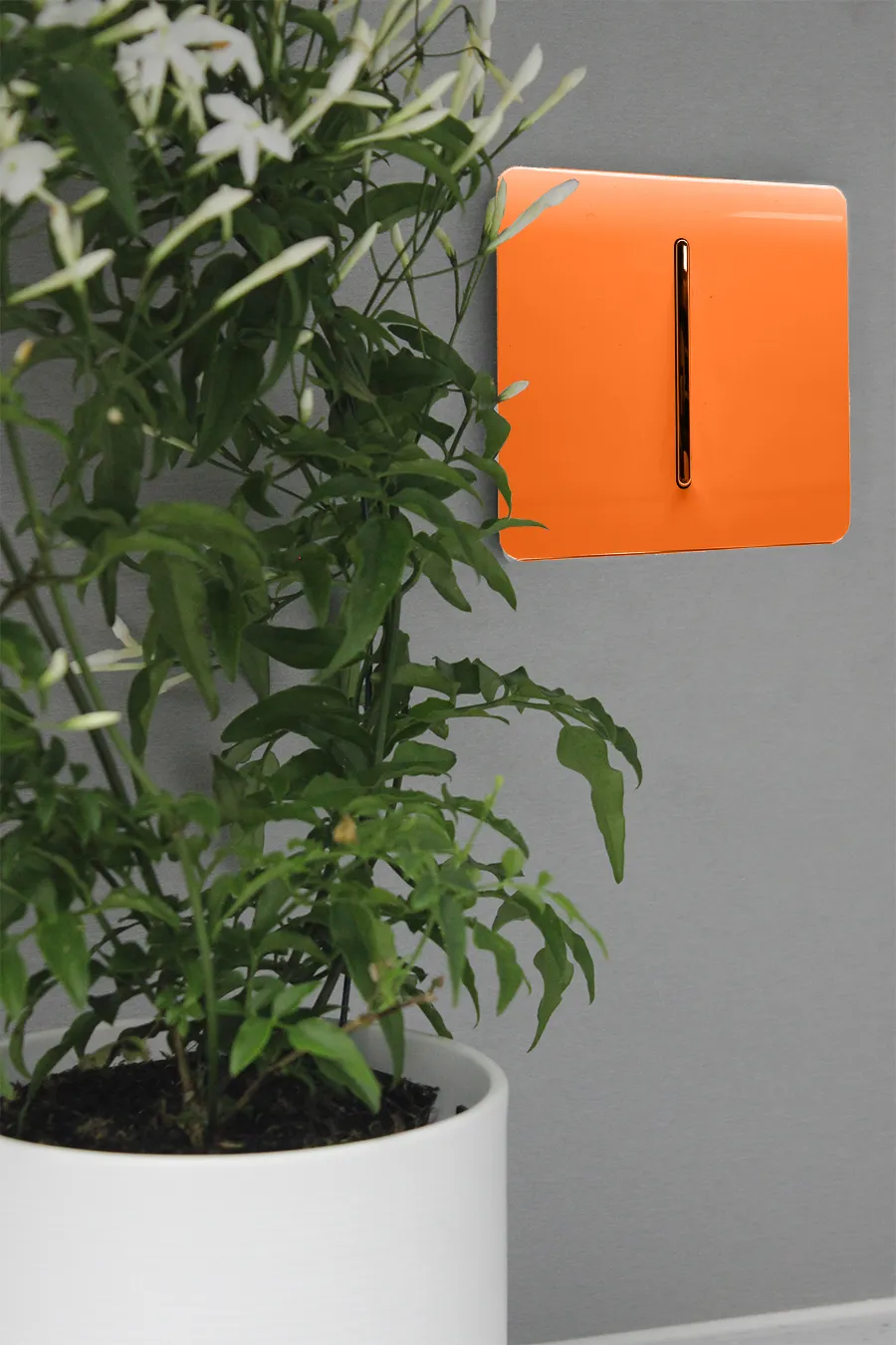 Orange Wiring Accessories Trendi Decorative Screwless Orange Wiring Accessories Trendi Decorative Screwless
